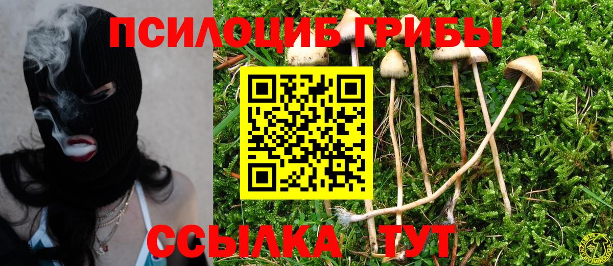 Псилоцибиновые грибы Magic Shrooms Бахчисарай